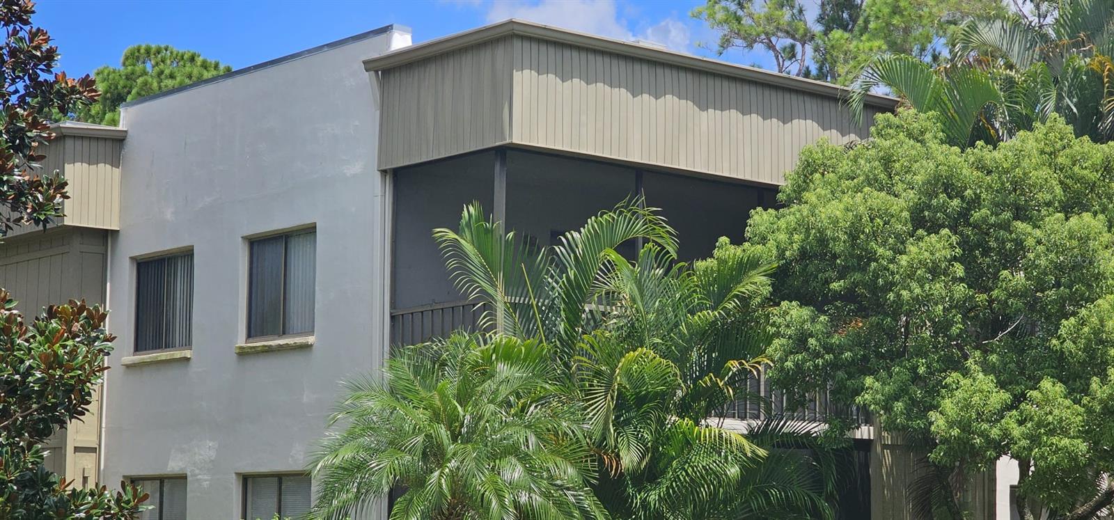 3300 FOX CHASE CIR N #231, PALM HARBOR, FL, 34683