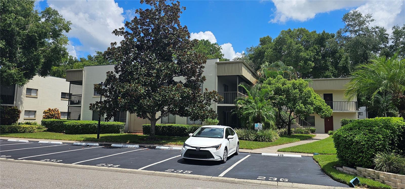 3300 FOX CHASE CIR N #231, PALM HARBOR, FL, 34683