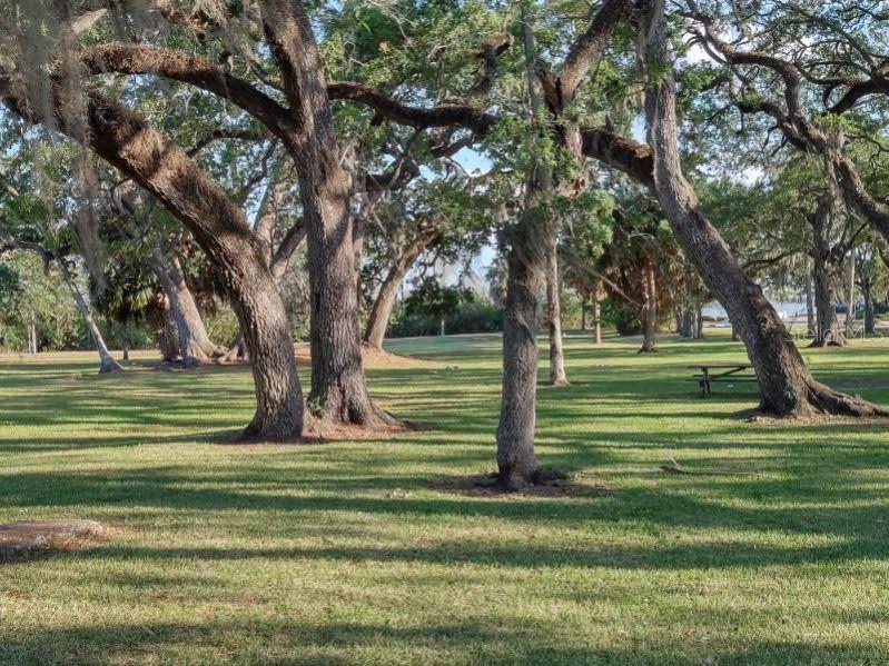 2411 E LINSEY ST #Street, TAMPA, FL, 33605