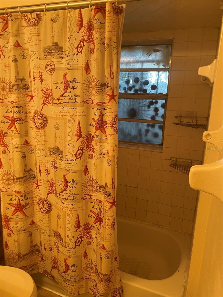 2411 E LINSEY ST #Street, TAMPA, FL, 33605