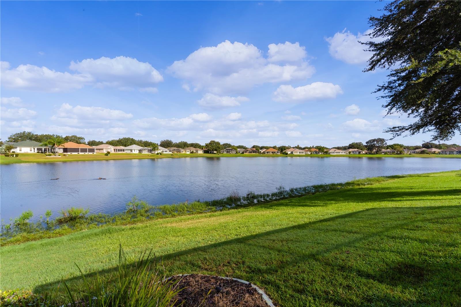 1933 CORDERO CT, THE VILLAGES, FL, 32159