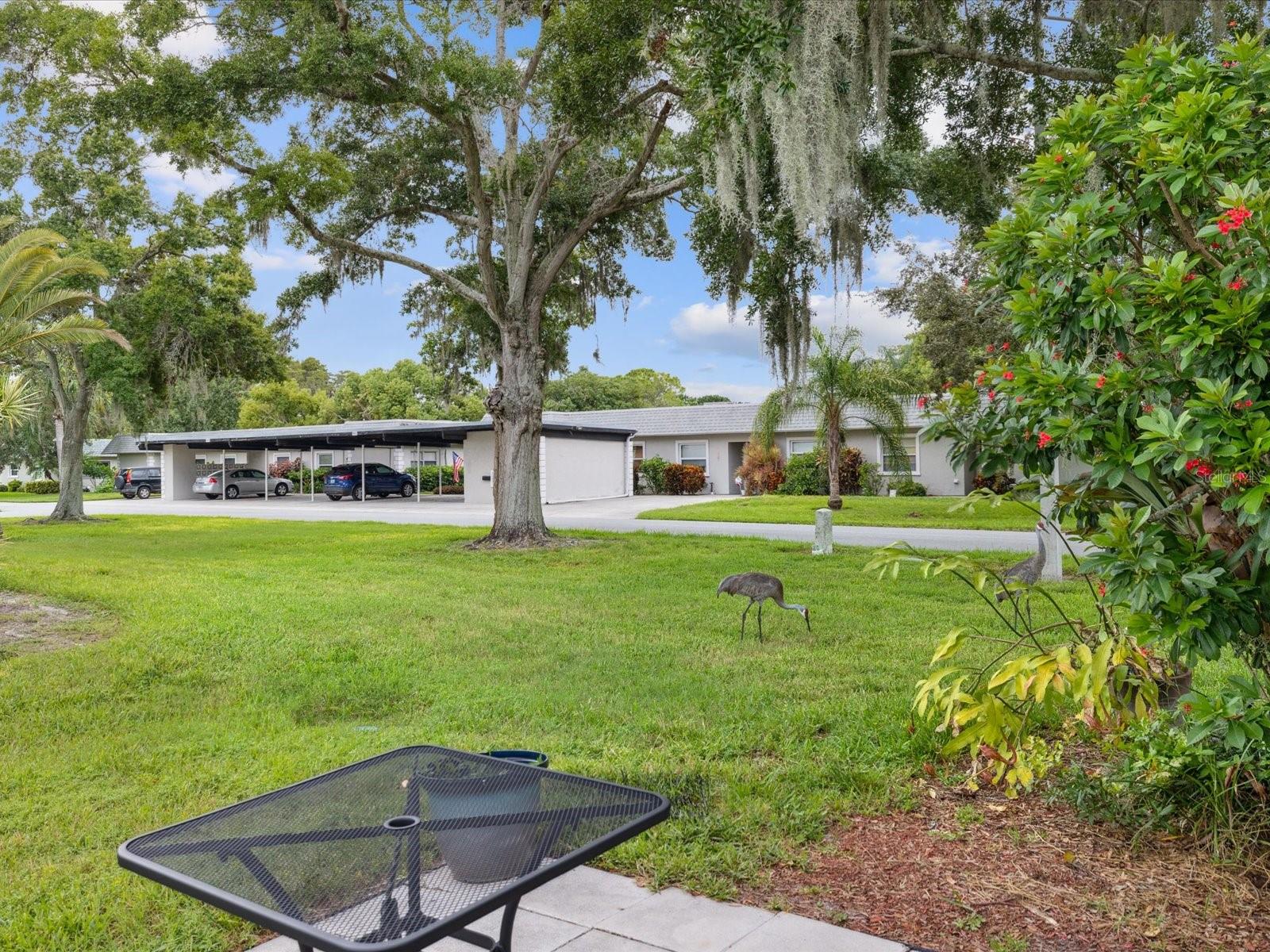 3544 TEESIDE DR, NEW PORT RICHEY, FL, 34655