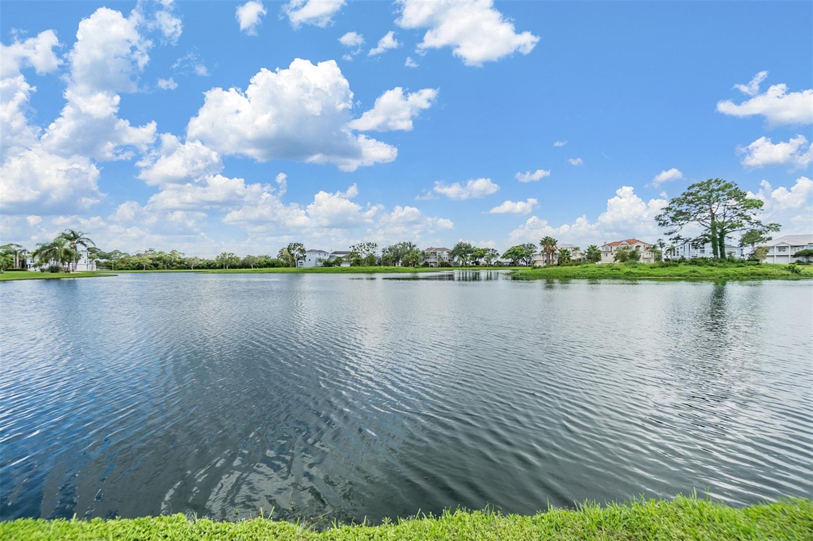 2118 HARBOUR WATCH DR, TARPON SPRINGS, FL, 34689