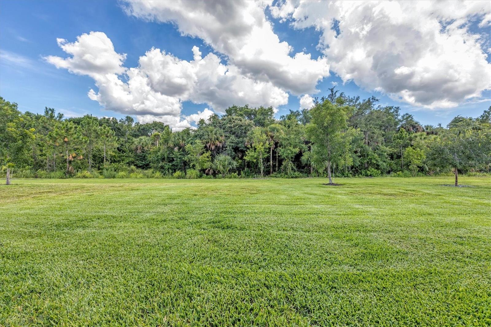 11643 RENAISSANCE BLVD, VENICE, FL, 34293