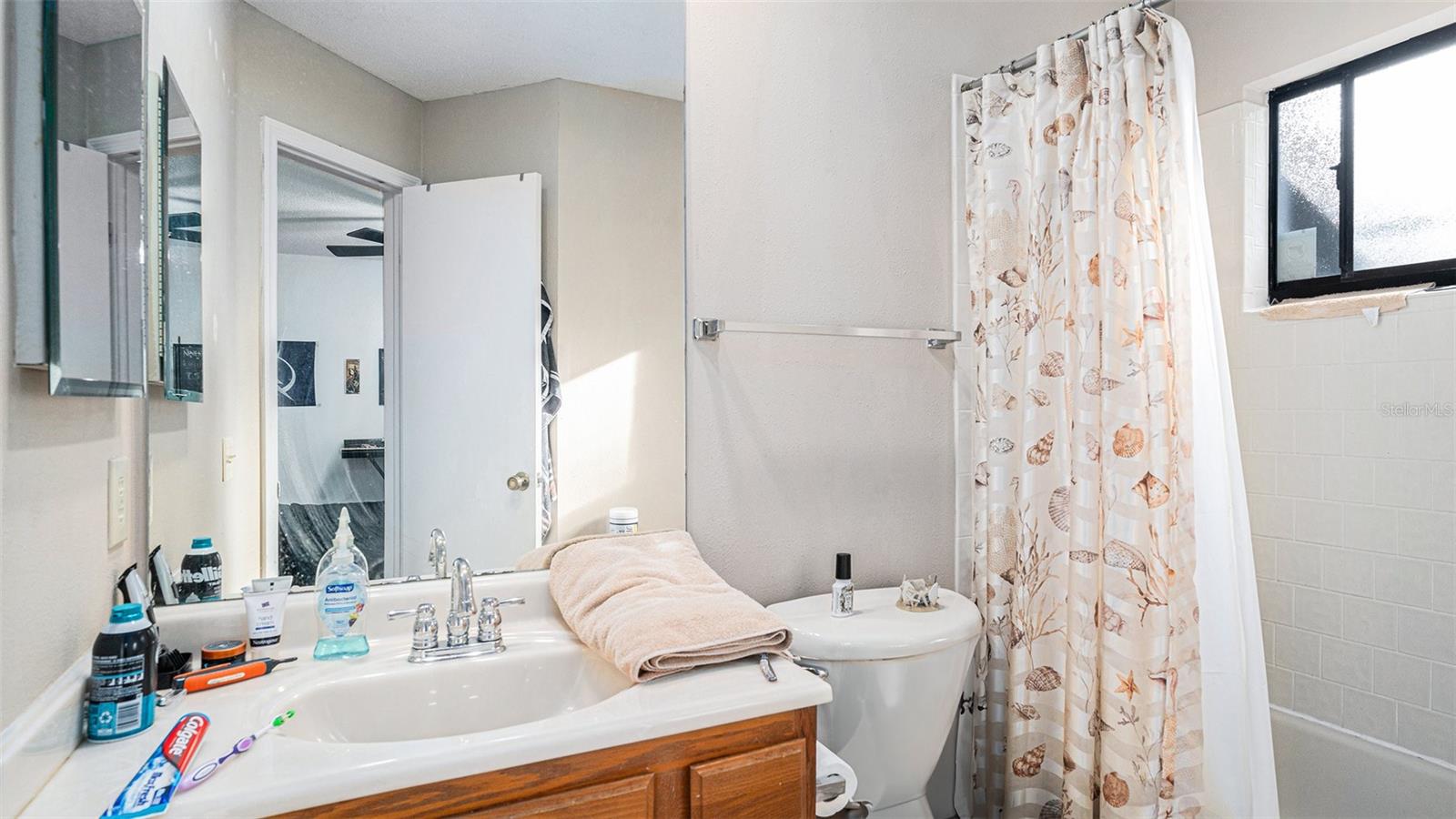 18330 CYPRESS VIEW WAY, TAMPA, FL, 33647