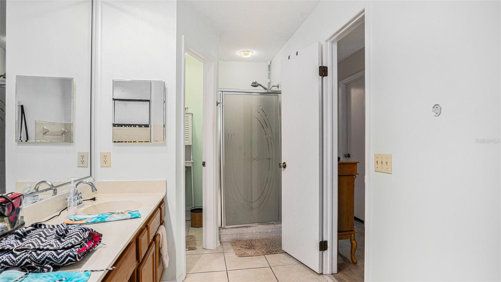 18330 CYPRESS VIEW WAY, TAMPA, FL, 33647