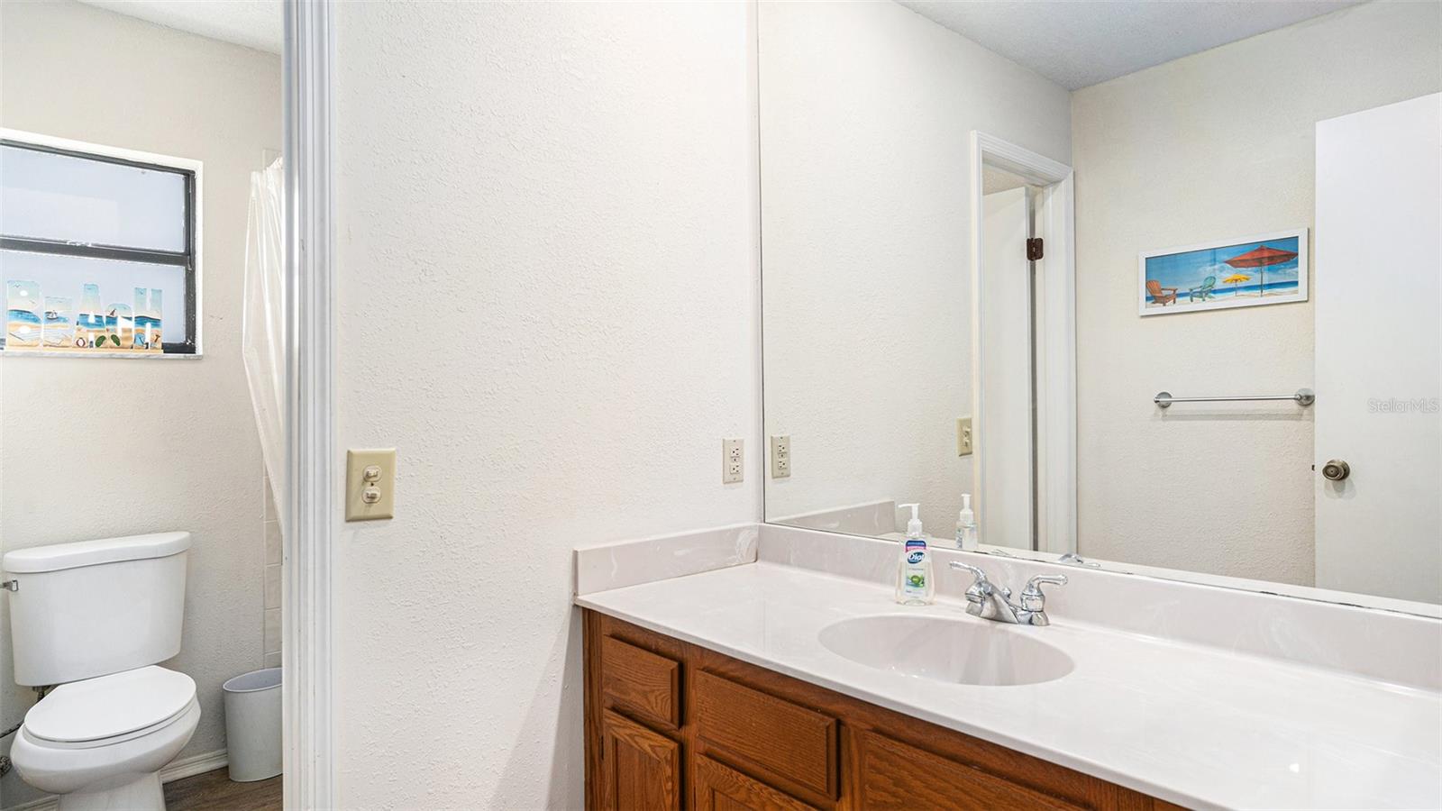 18330 CYPRESS VIEW WAY, TAMPA, FL, 33647