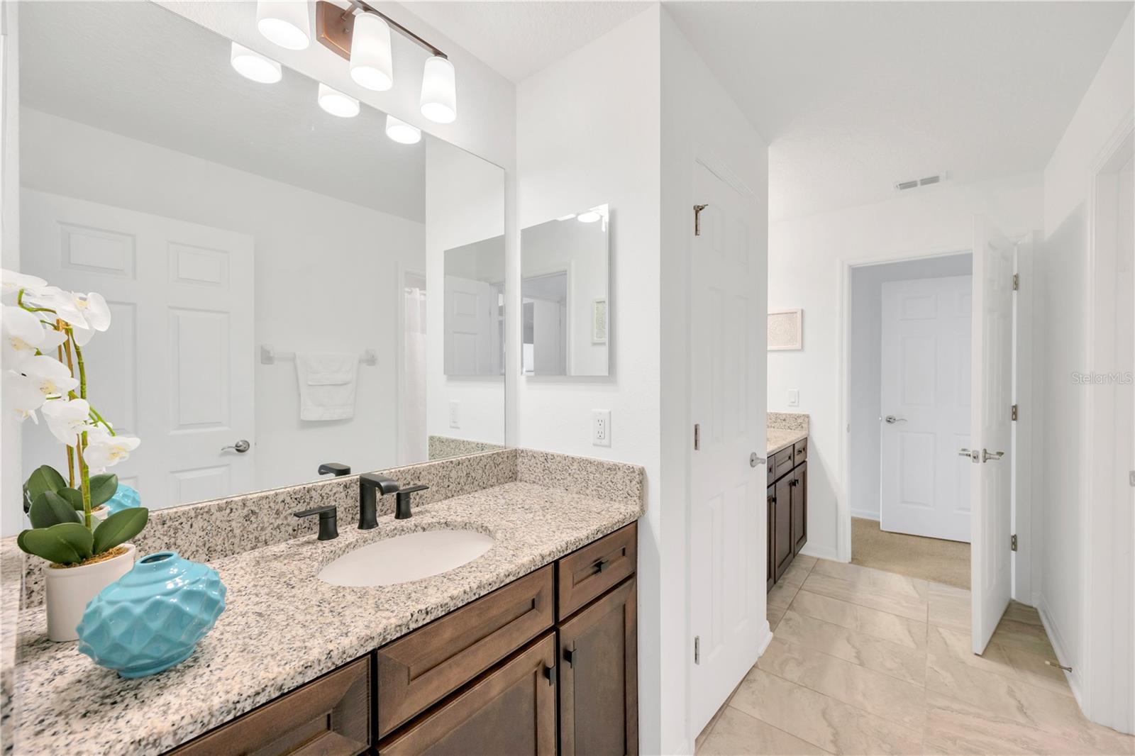 19336 EAGLE CREEK LN, TAMPA, FL, 33647