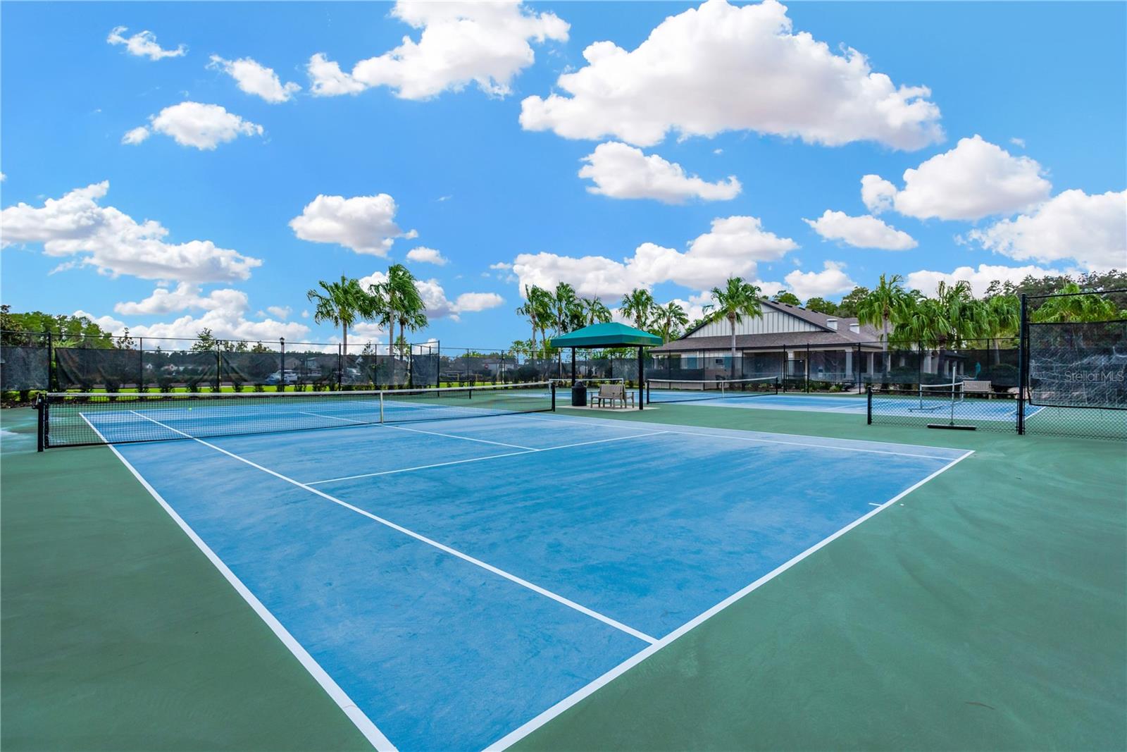 19336 EAGLE CREEK LN, TAMPA, FL, 33647