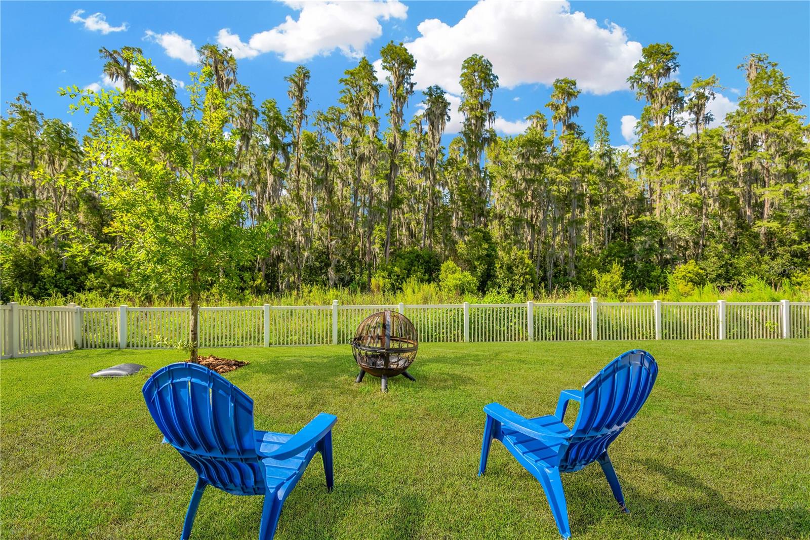 19336 EAGLE CREEK LN, TAMPA, FL, 33647