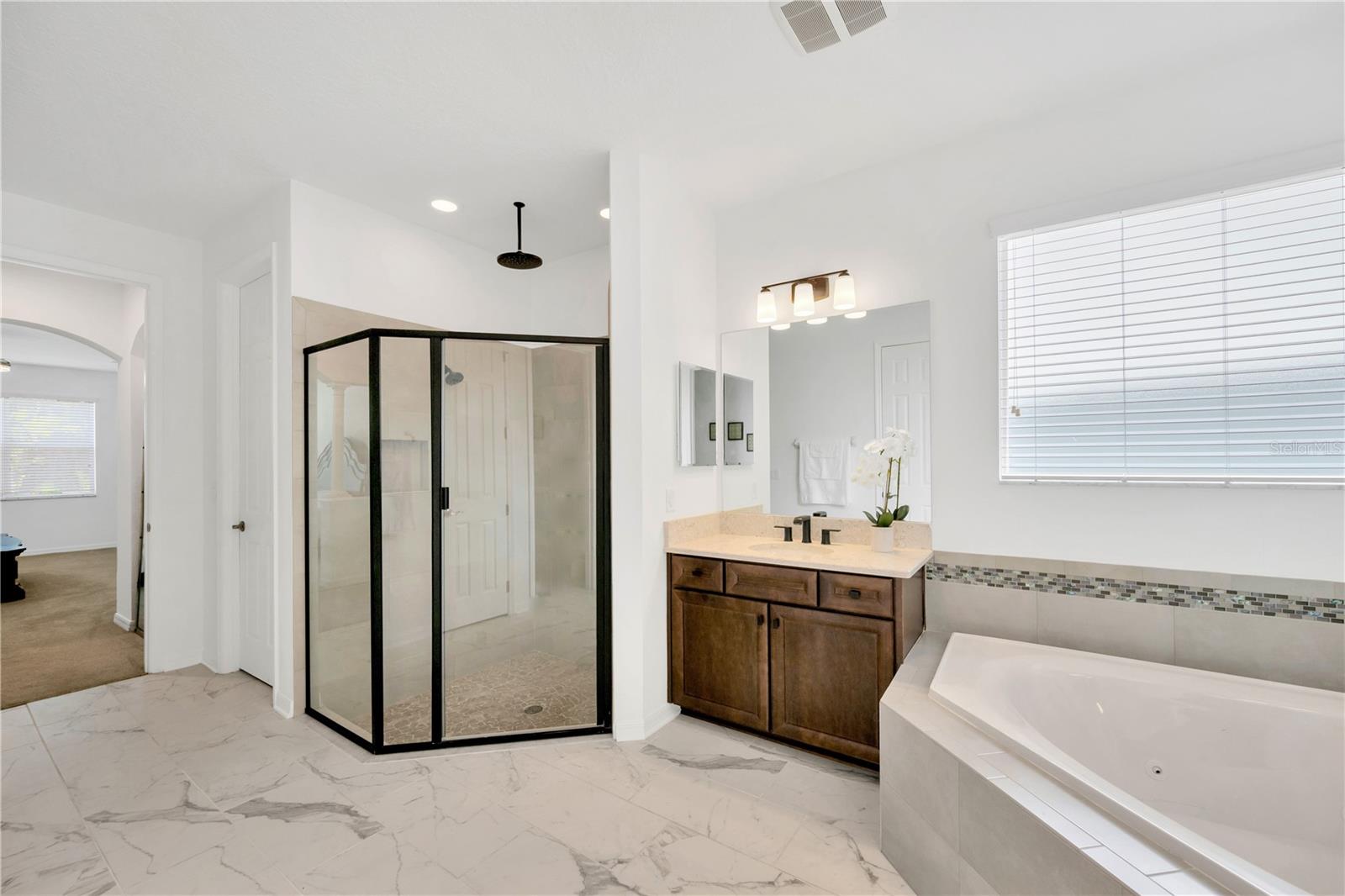 19336 EAGLE CREEK LN, TAMPA, FL, 33647