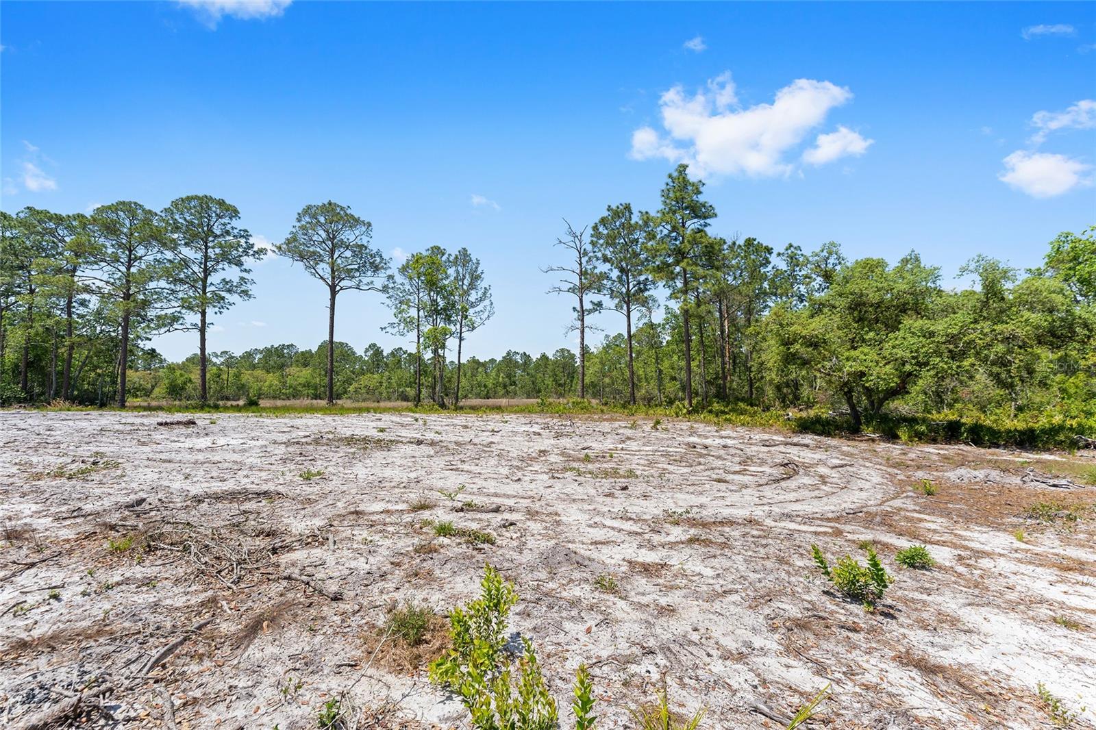 000 NE 150TH AVE RD, FORT MC COY, FL, 32134