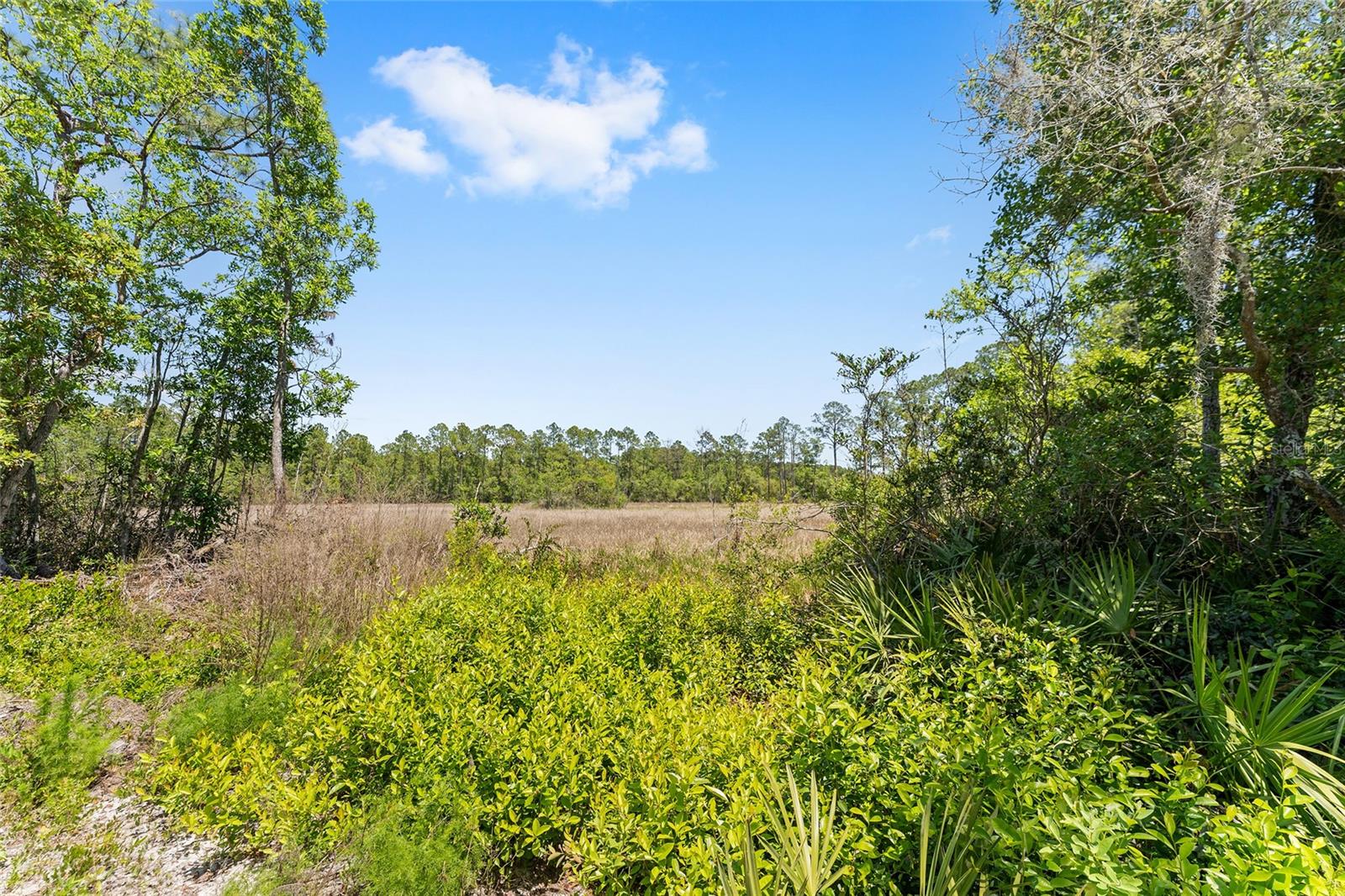 000 NE 150TH AVE RD, FORT MC COY, FL, 32134