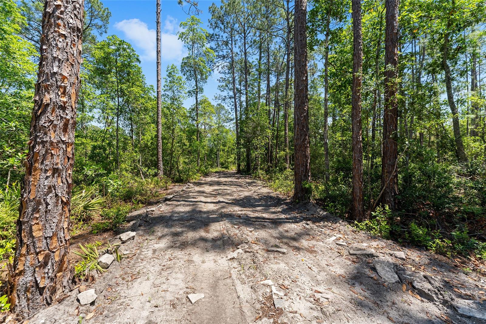 000 NE 150TH AVE RD, FORT MC COY, FL, 32134