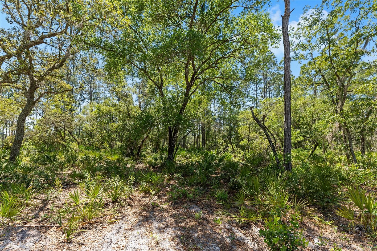 000 NE 150TH AVE RD, FORT MC COY, FL, 32134