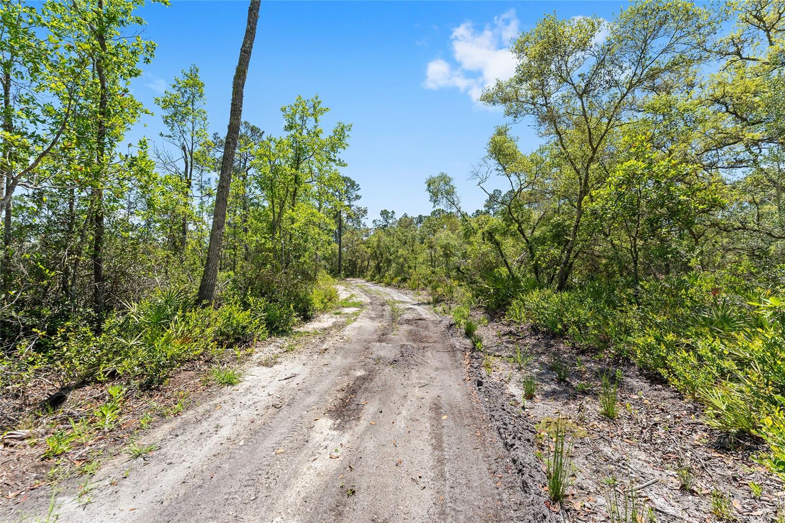 000 NE 150TH AVE RD, FORT MC COY, FL, 32134