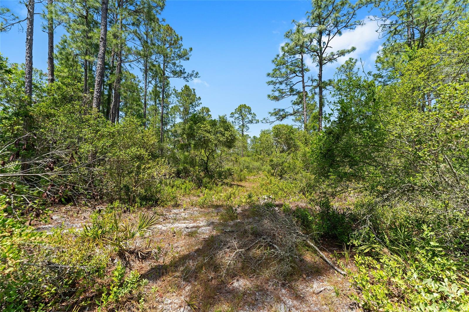 000 NE 150TH AVE RD, FORT MC COY, FL, 32134