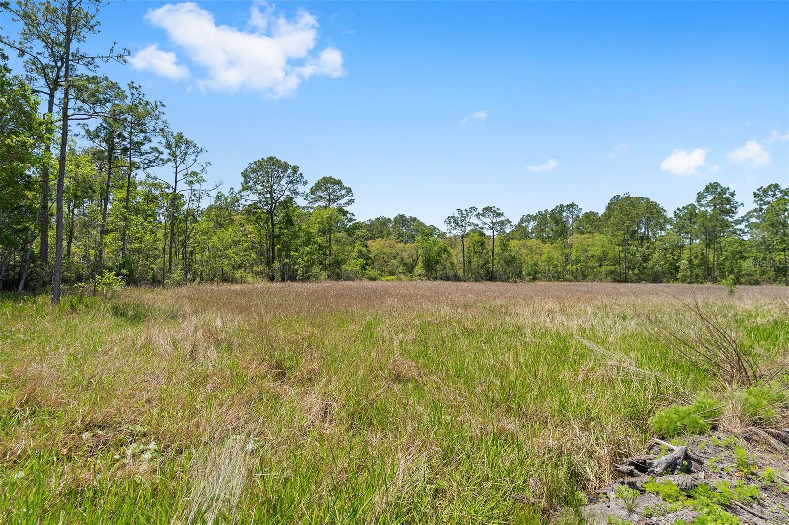 000 NE 150TH AVE RD, FORT MC COY, FL, 32134