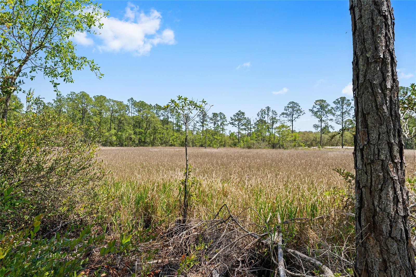 000 NE 150TH AVE RD, FORT MC COY, FL, 32134