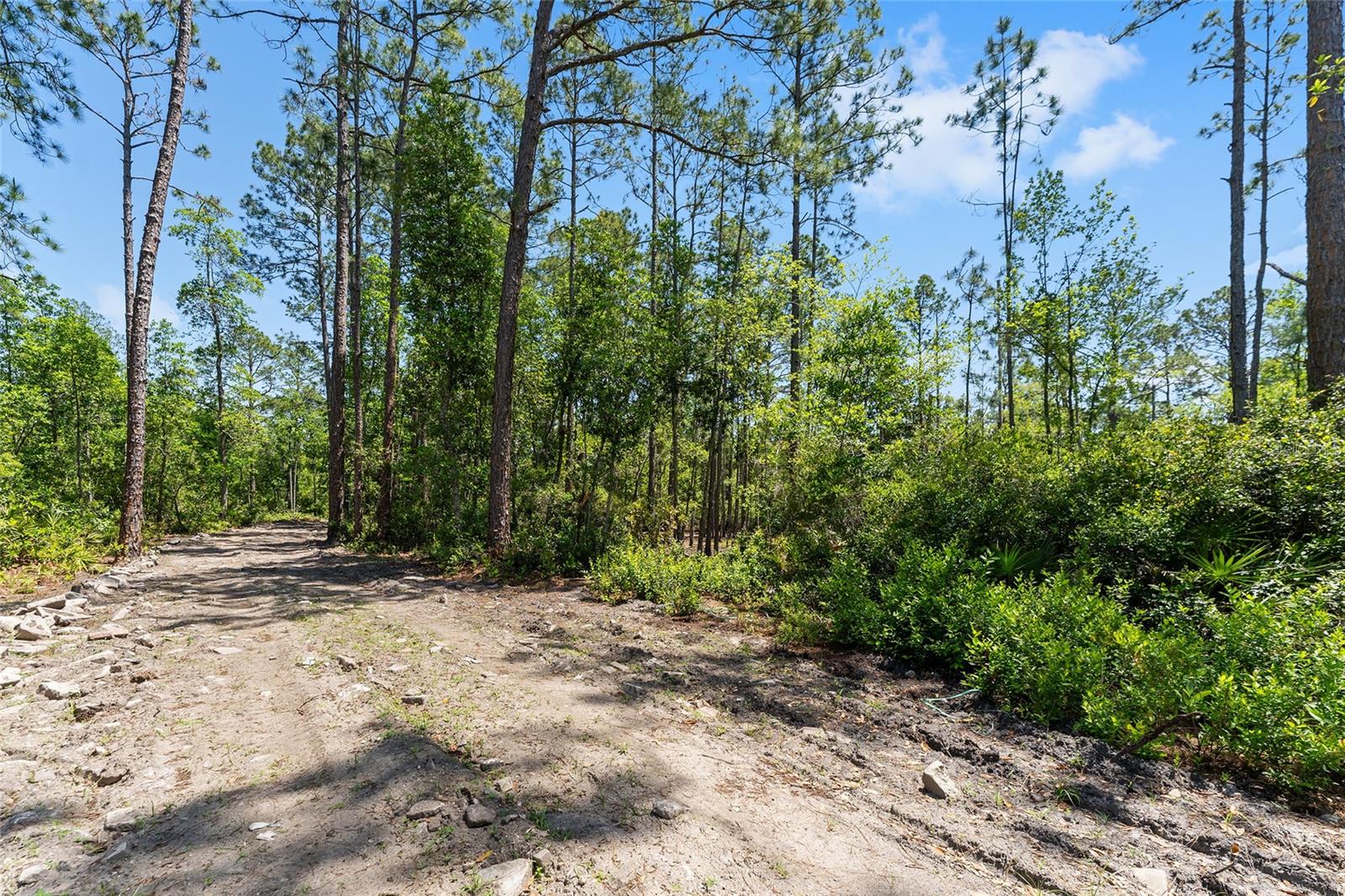 000 NE 150TH AVE RD, FORT MC COY, FL, 32134