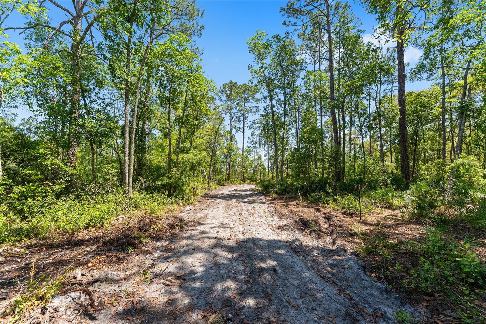 000 NE 150TH AVE RD, FORT MC COY, FL, 32134