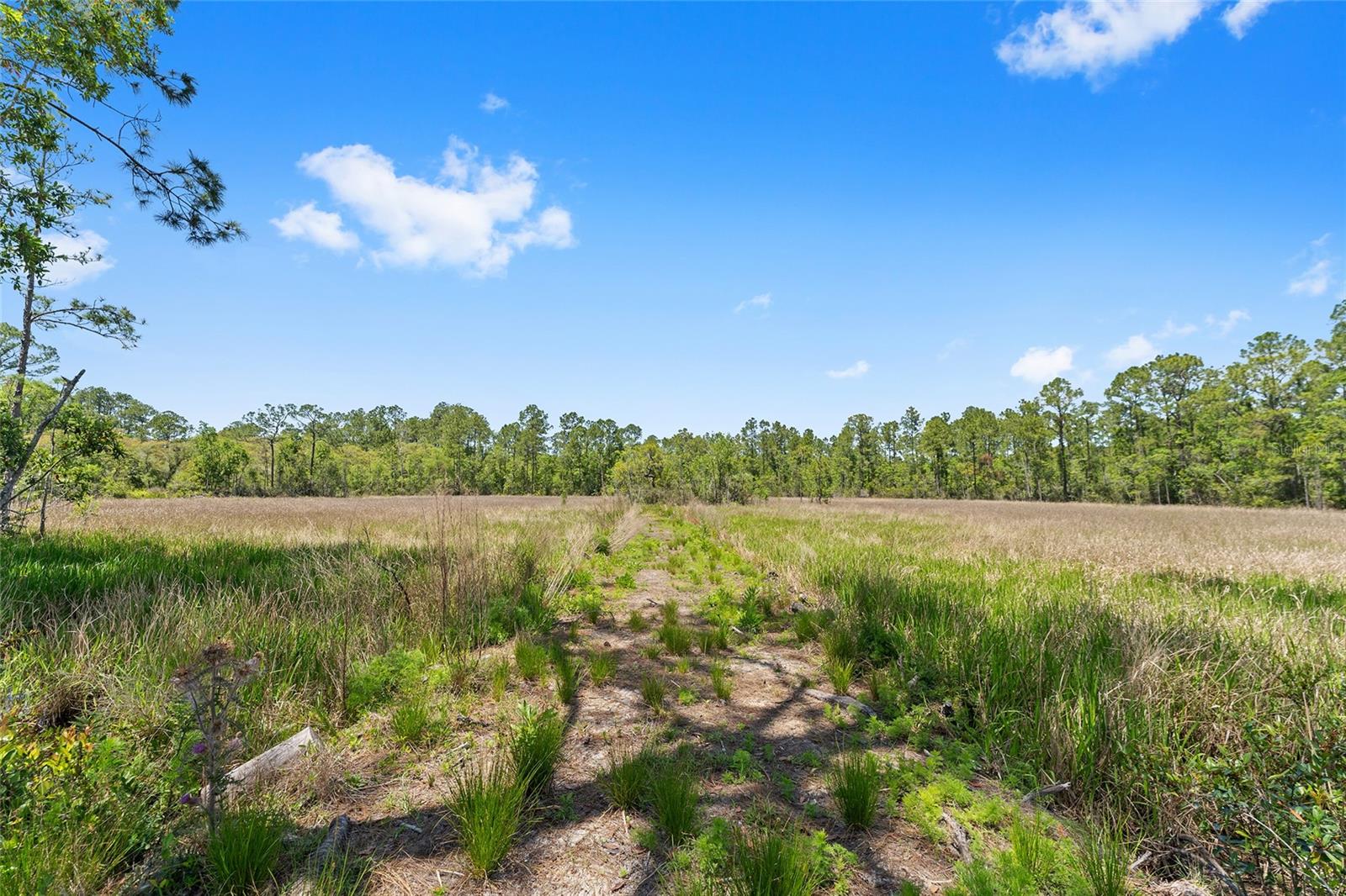 000 NE 150TH AVE RD, FORT MC COY, FL, 32134