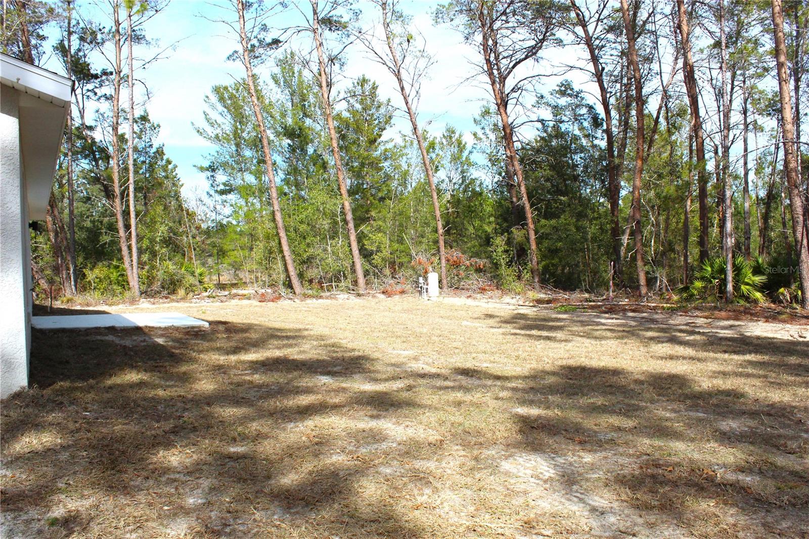 202 GUAVA PASS, OCKLAWAHA, FL, 32179