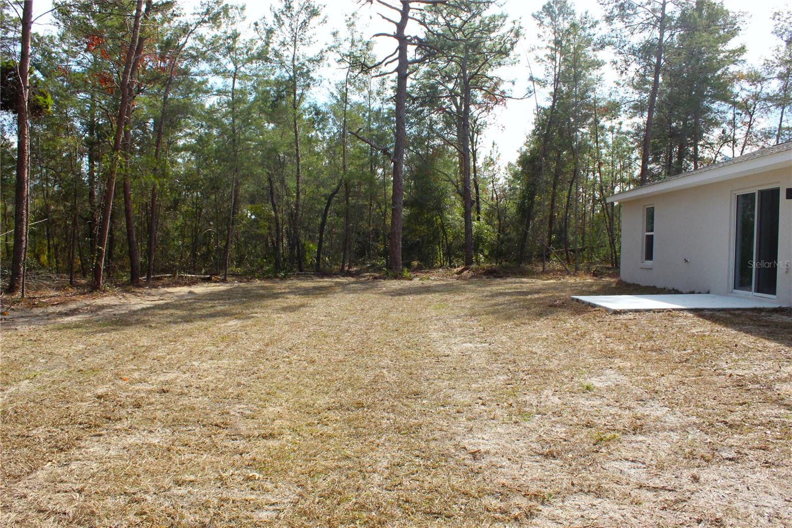 202 GUAVA PASS, OCKLAWAHA, FL, 32179