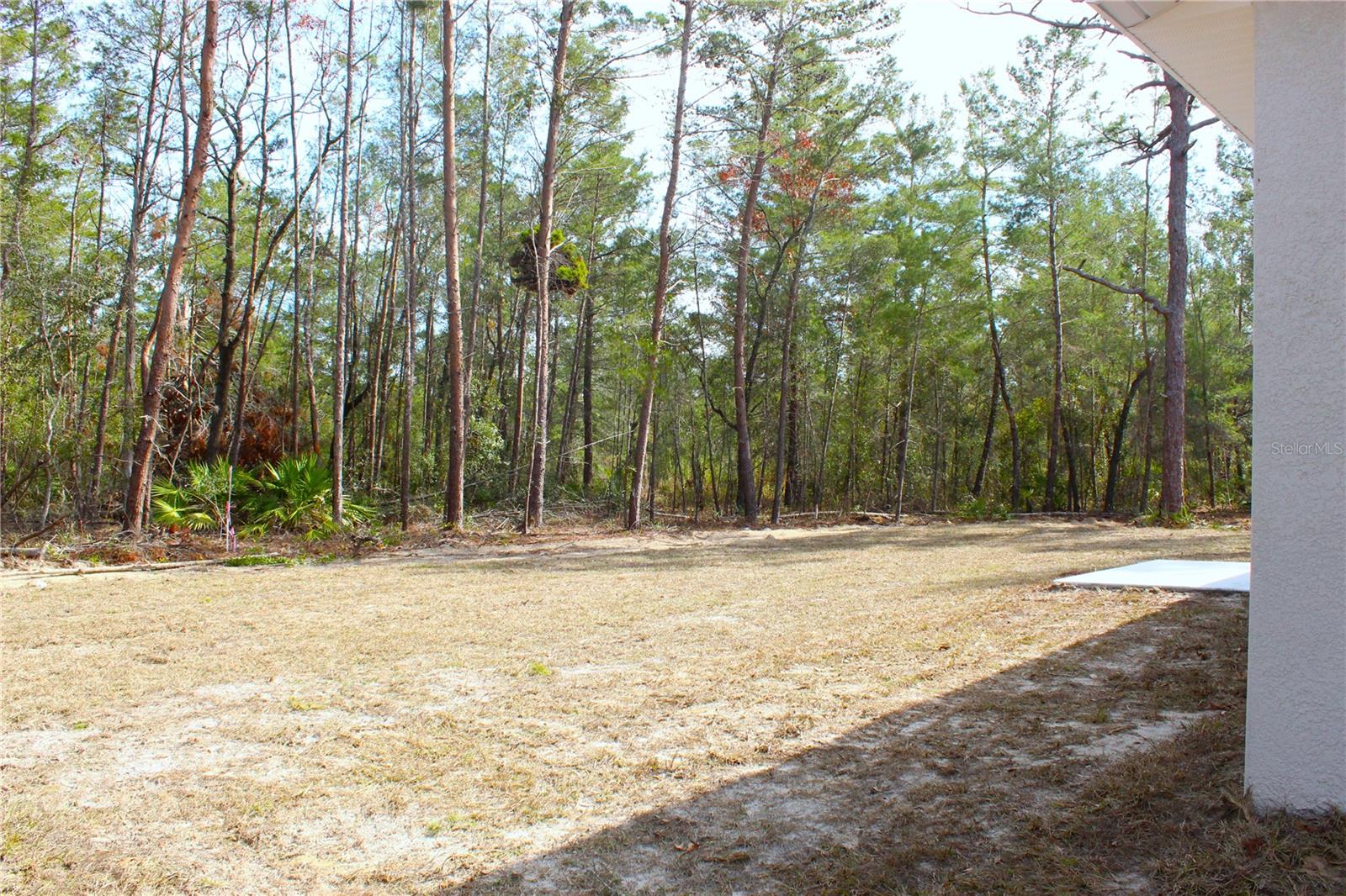 202 GUAVA PASS, OCKLAWAHA, FL, 32179