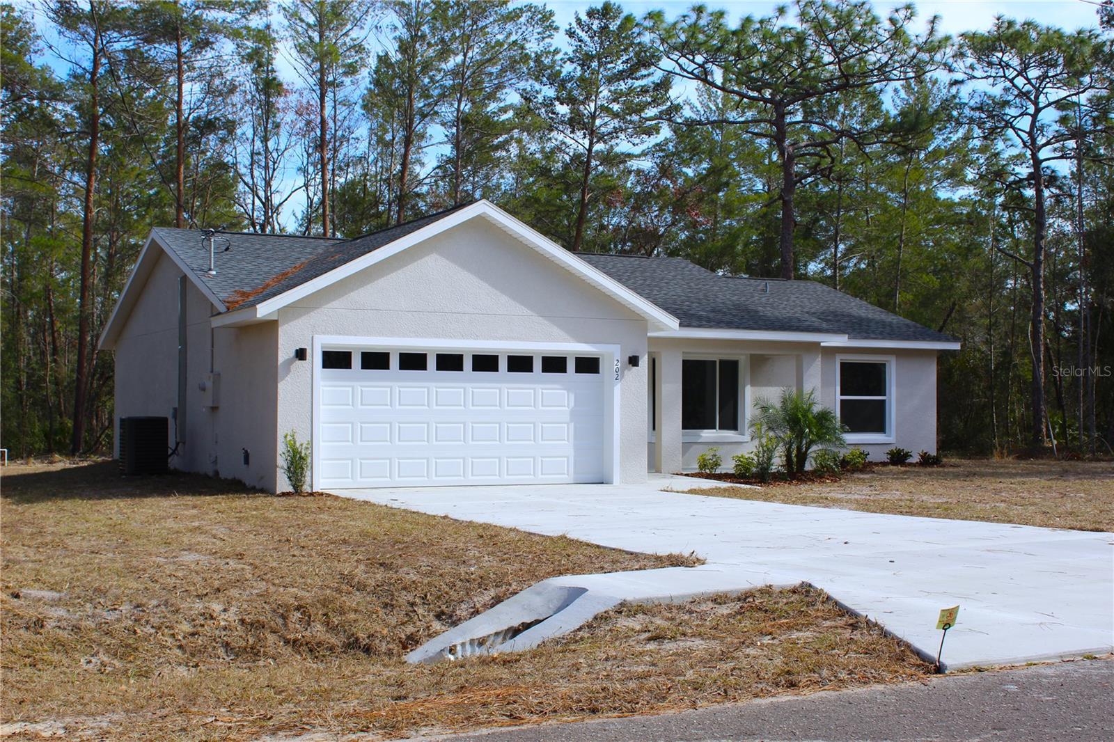 202 GUAVA PASS, OCKLAWAHA, FL, 32179