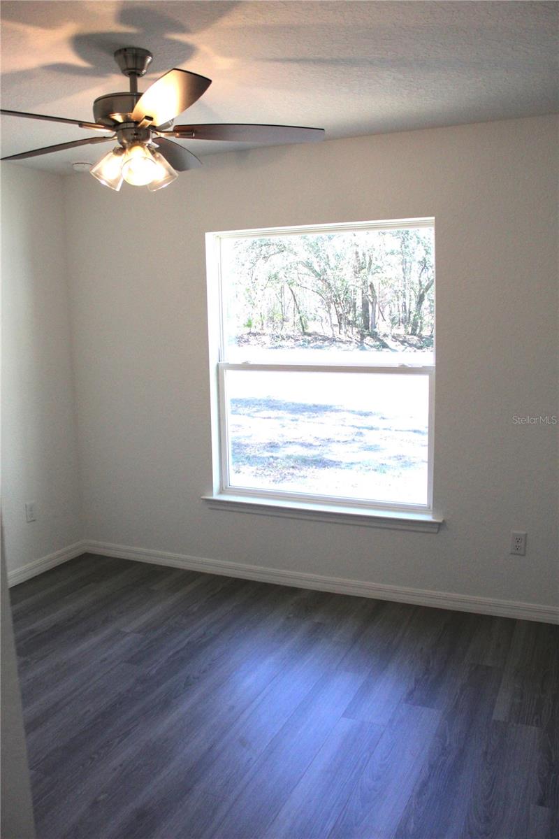 202 GUAVA PASS, OCKLAWAHA, FL, 32179