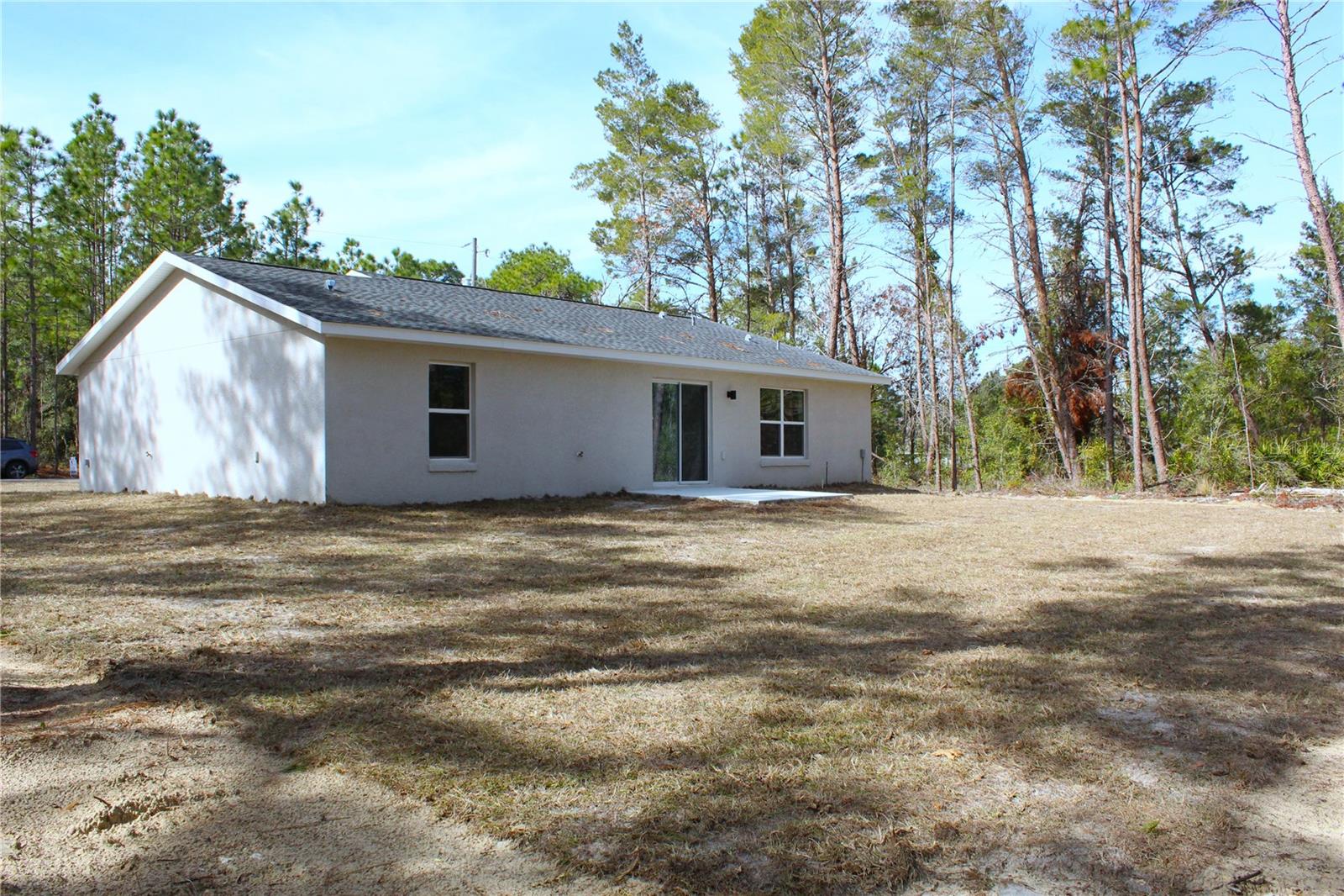 202 GUAVA PASS, OCKLAWAHA, FL, 32179