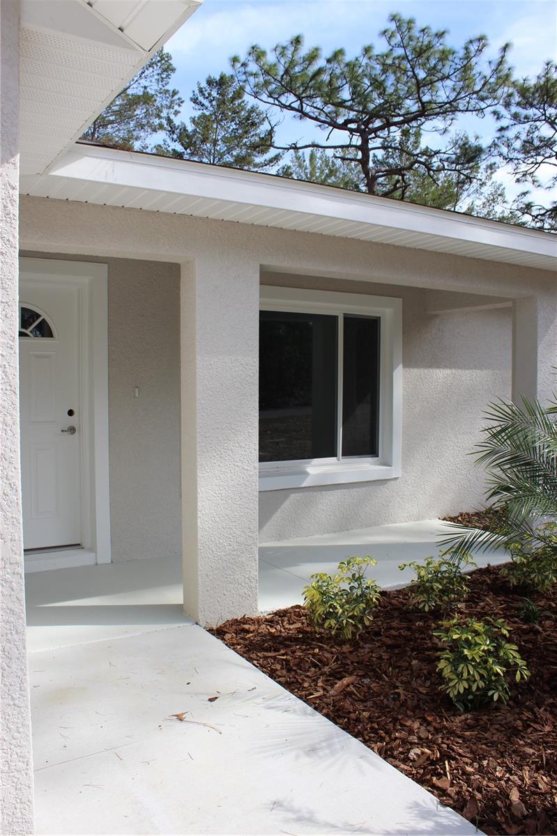 202 GUAVA PASS, OCKLAWAHA, FL, 32179