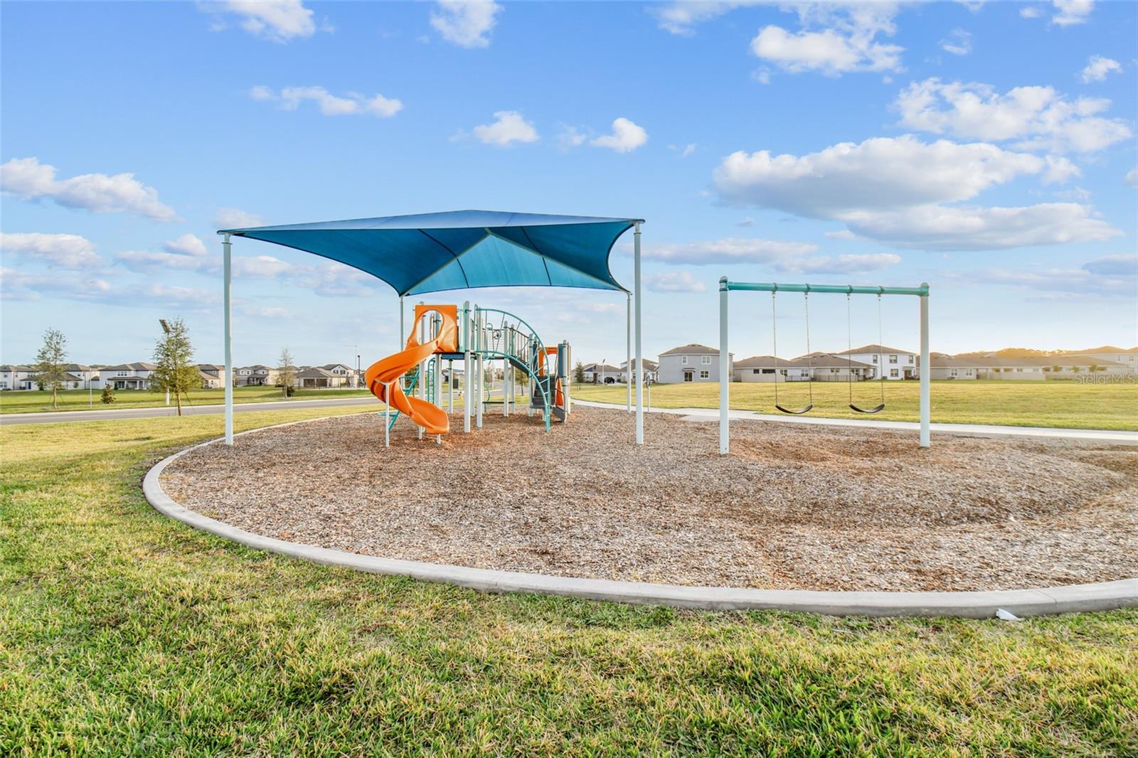 31941 BLUE PASSING LOOP, WESLEY CHAPEL, FL, 33545
