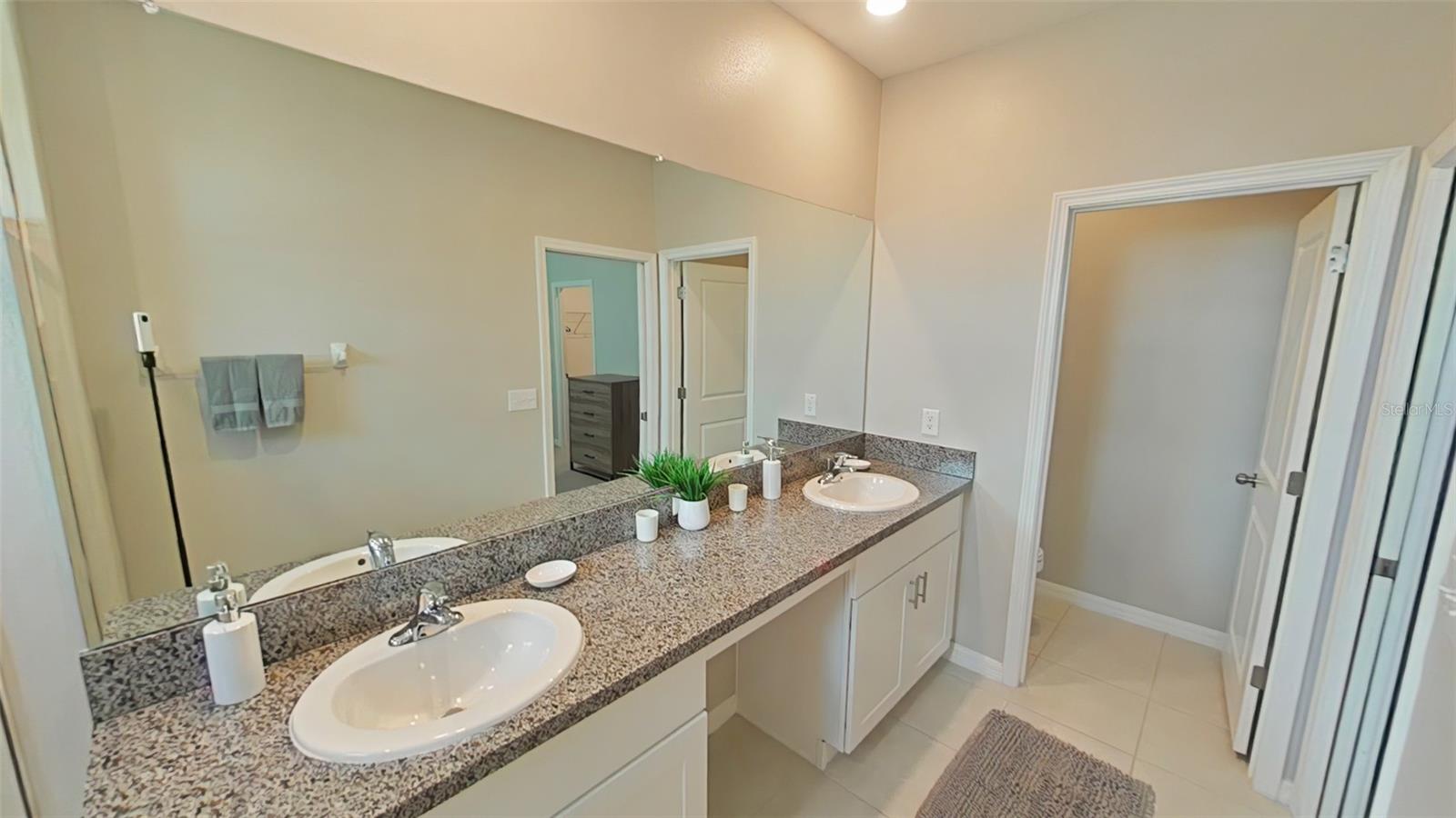 31941 BLUE PASSING LOOP, WESLEY CHAPEL, FL, 33545