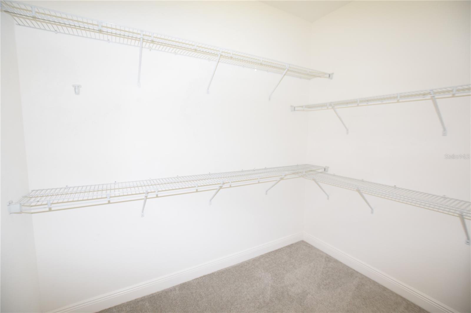 11919 SHELTERING PINE DR, ORLANDO, FL, 32836