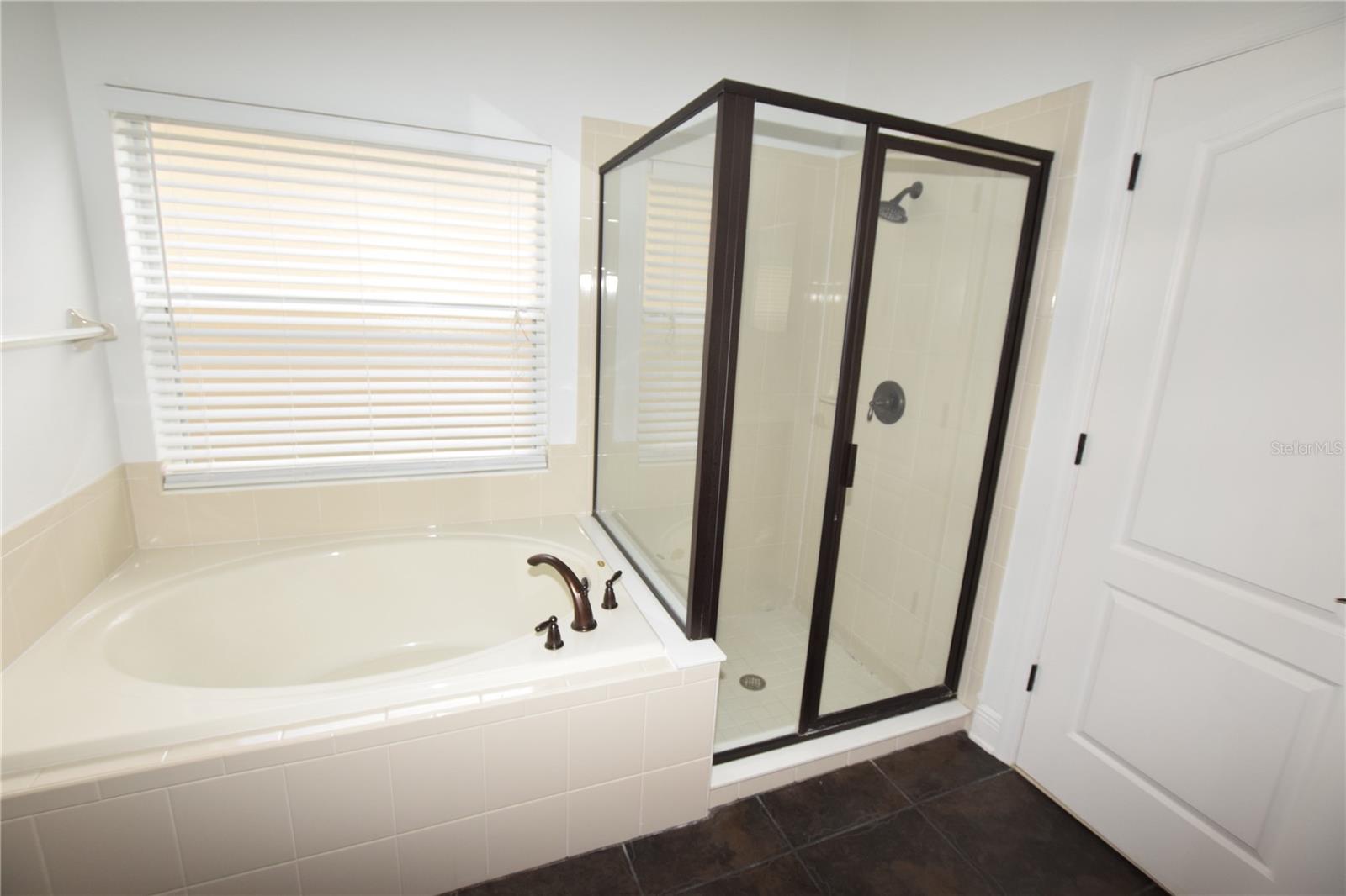 11919 SHELTERING PINE DR, ORLANDO, FL, 32836