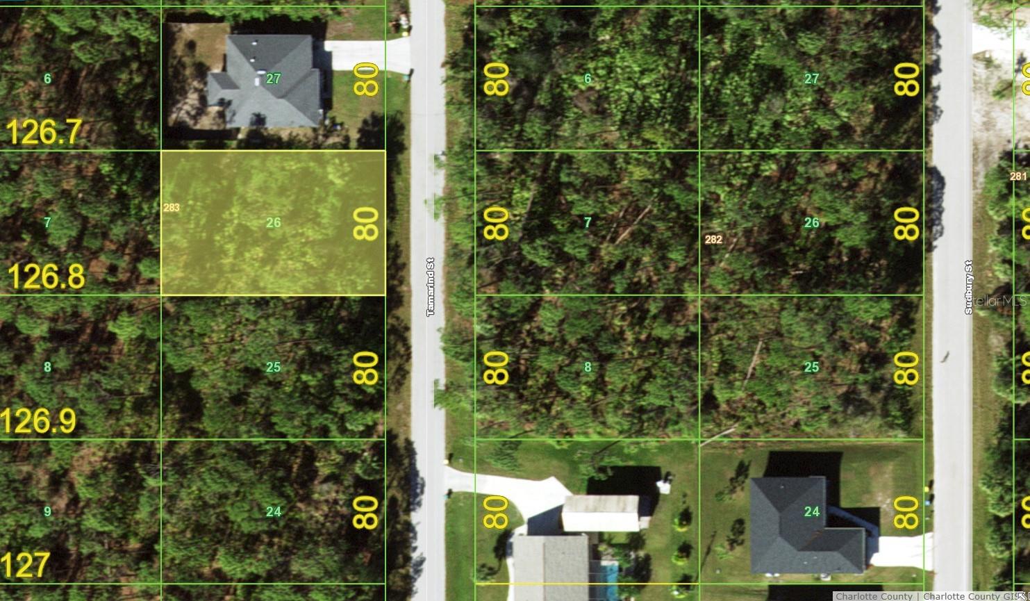 3125 TAMARIND ST, PORT CHARLOTTE, FL, 33948