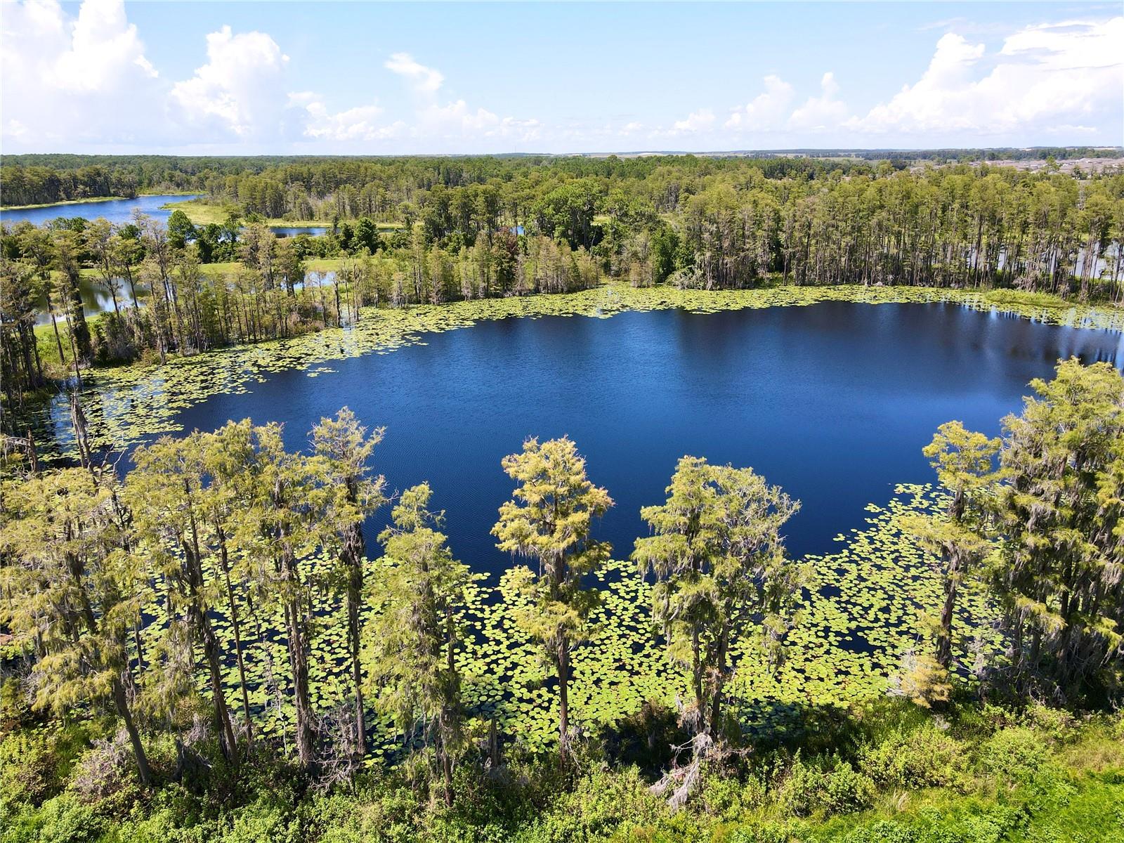 17930 ADRIFT RD, WINTER GARDEN, FL, 34787