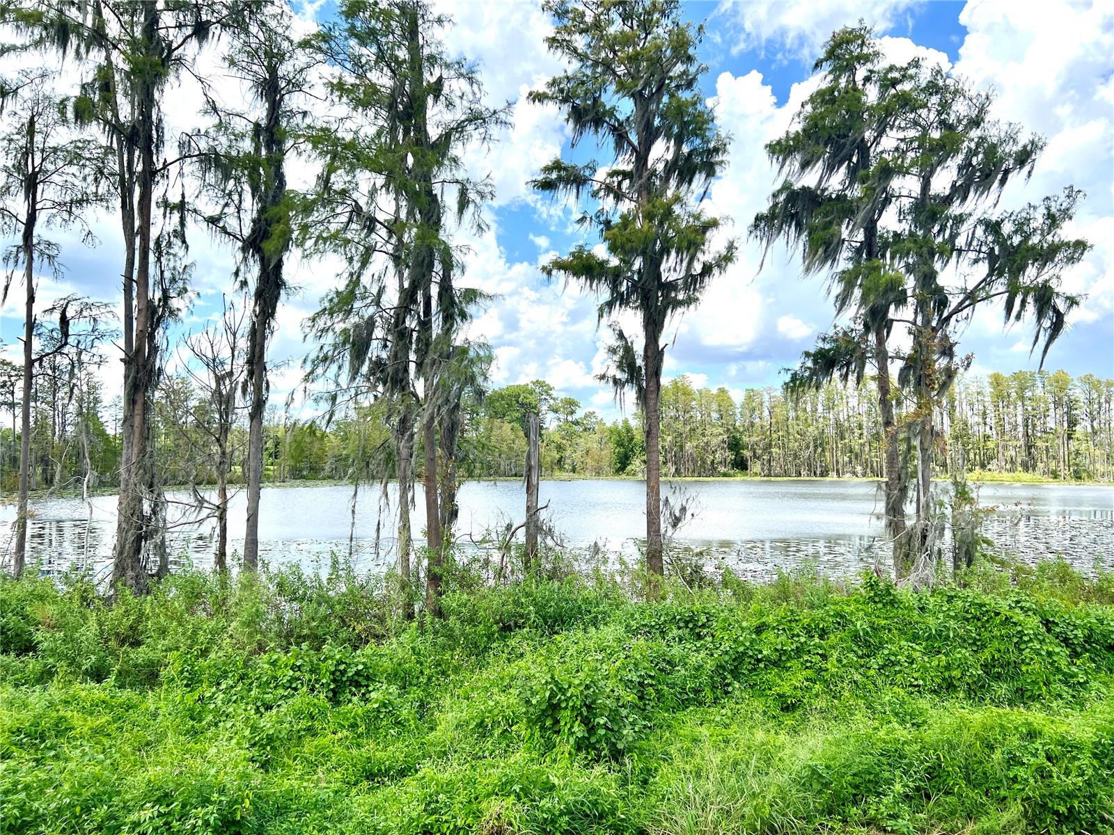 17930 ADRIFT RD, WINTER GARDEN, FL, 34787