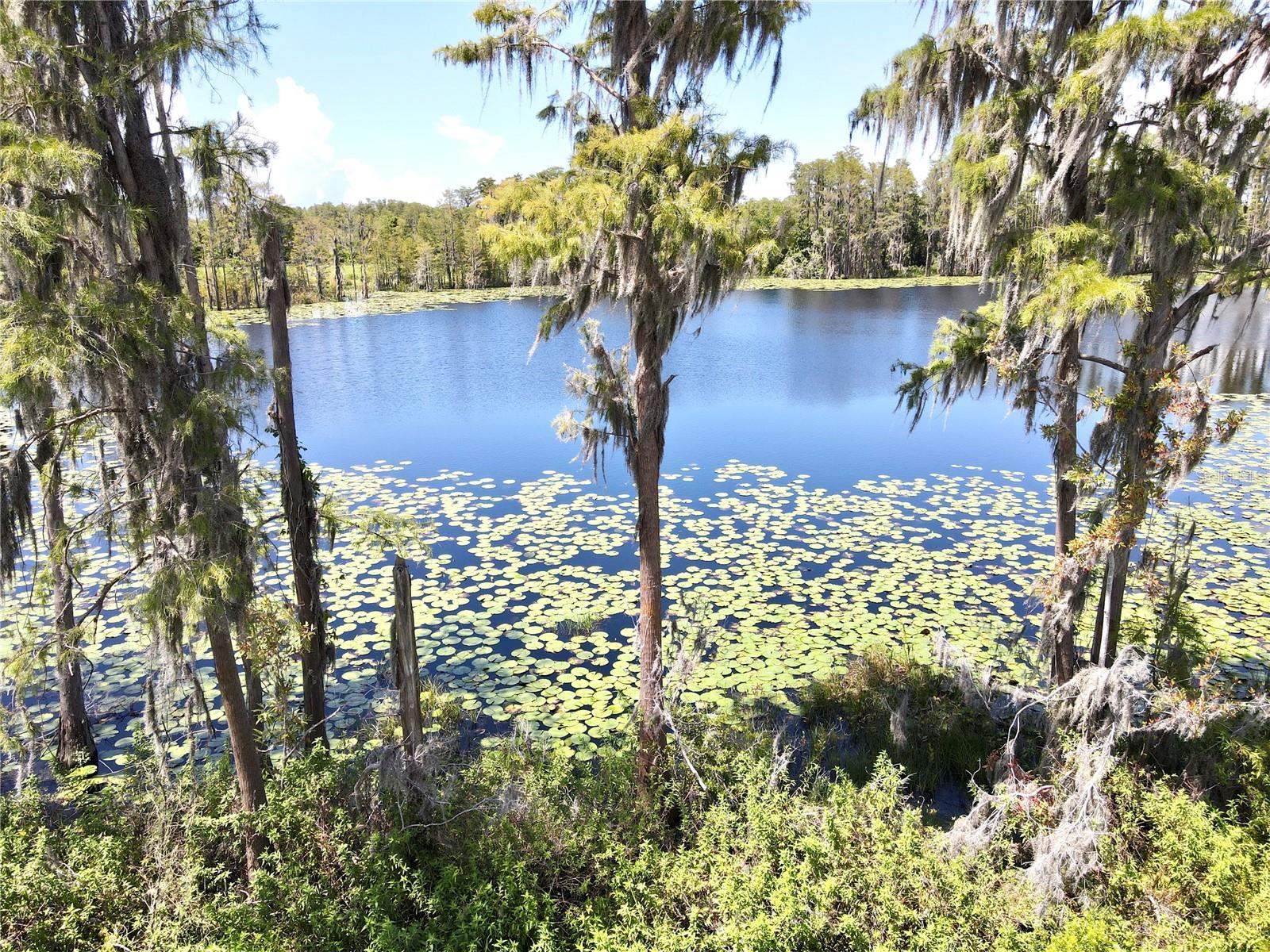 17930 ADRIFT RD, WINTER GARDEN, FL, 34787
