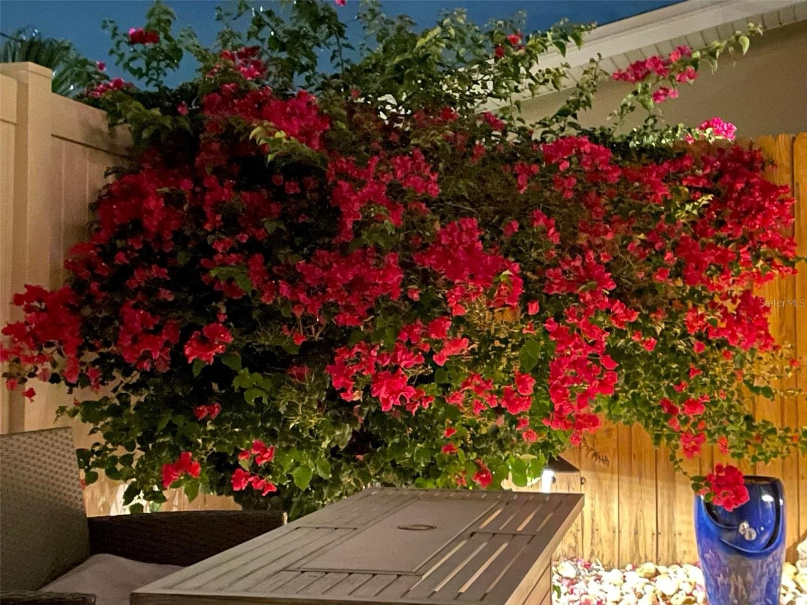 2200 W BAY ISLE DR SE, SAINT PETERSBURG, FL, 33705