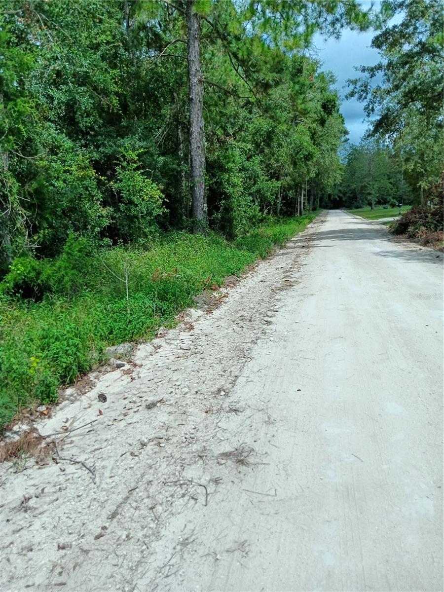162 ND TERR AVE, LIVE OAK, FL, 32060