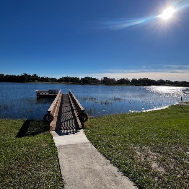 21945 KING HENRY AVE, LEESBURG, FL, 34748