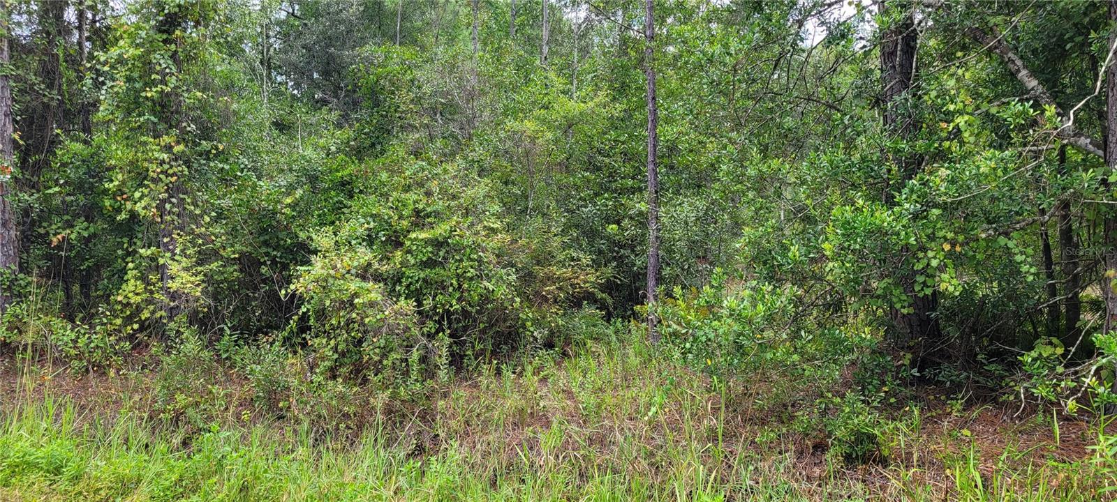 2828 FOREST PARK ST, BUNNELL, FL, 32110
