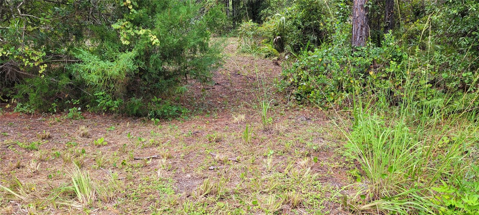 2828 FOREST PARK ST, BUNNELL, FL, 32110