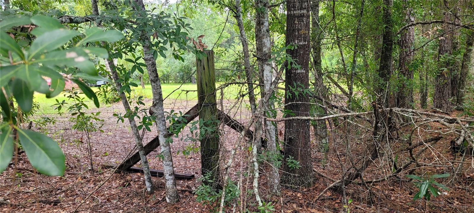 2828 FOREST PARK ST, BUNNELL, FL, 32110