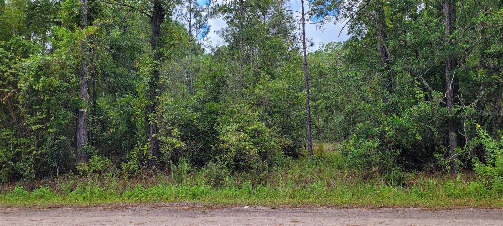 2828 FOREST PARK ST, BUNNELL, FL, 32110
