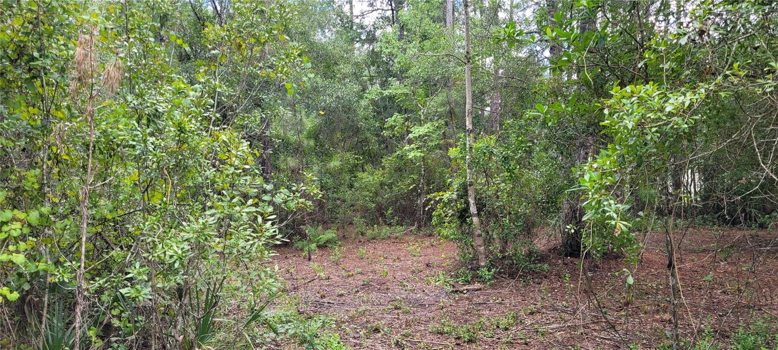 2828 FOREST PARK ST, BUNNELL, FL, 32110