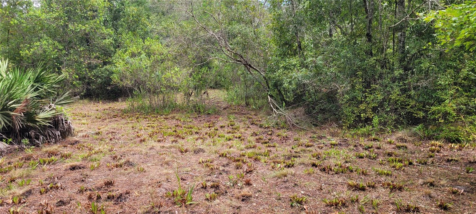2828 FOREST PARK ST, BUNNELL, FL, 32110